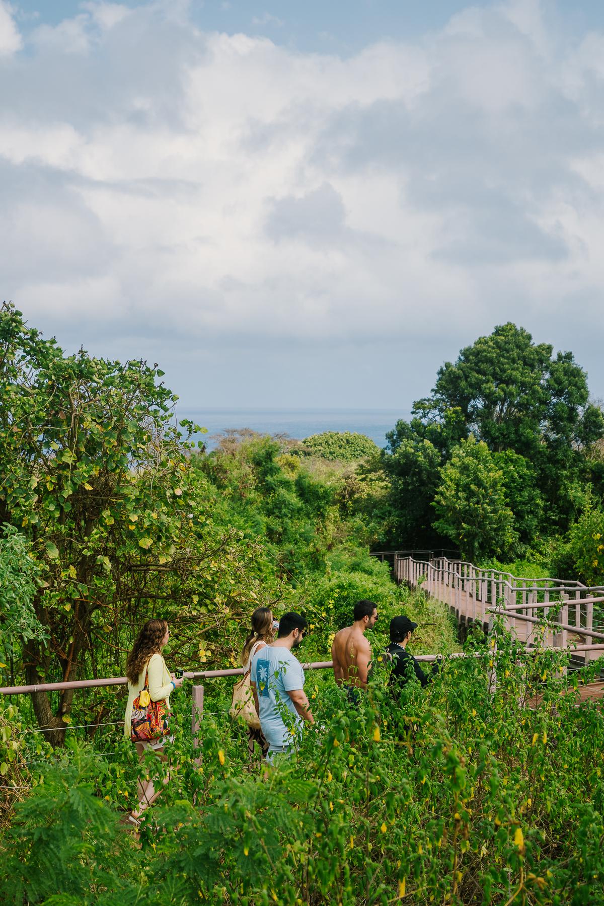 Trilha com vista para o litoral de Noronha
